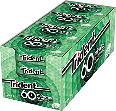 TRIDENT 60 MINUTOS HIERBABUENA 16U